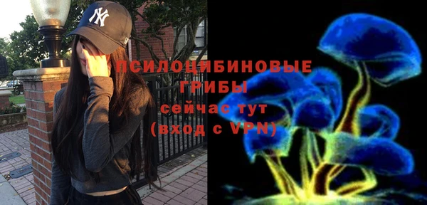 трава Верхнеуральск