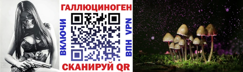Галлюциногенные грибы мицелий  Рубцовск 